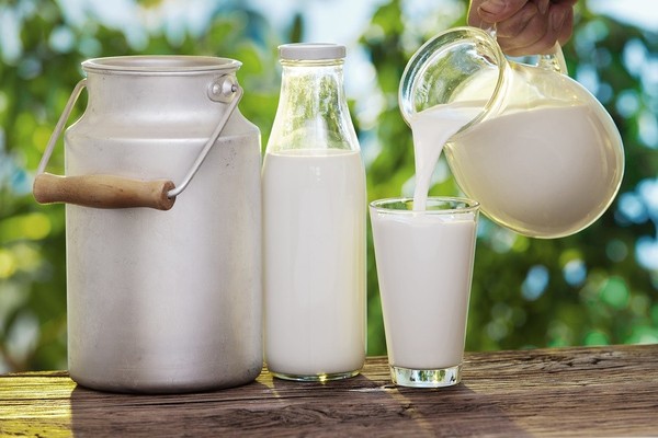 Sữa tươi có chứa nhiều protein, axit lactic giúp cung cấp độ ẩm cho da